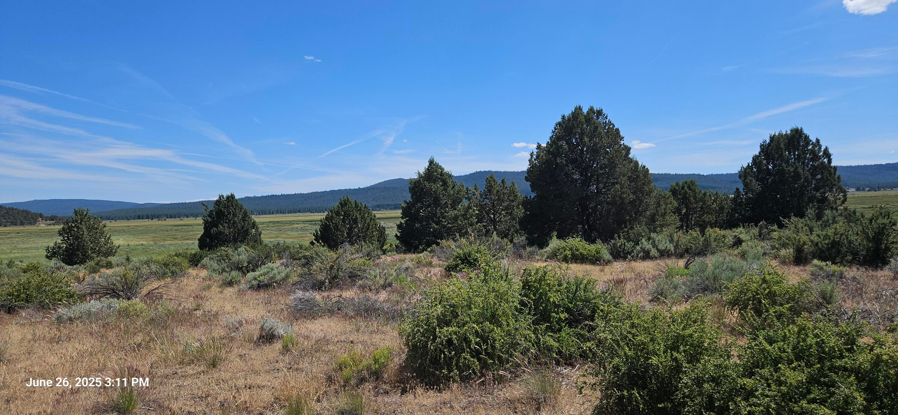 27 Drews Road Chiloquin, OR 97624 - Photo 2 of 9 Land Pic