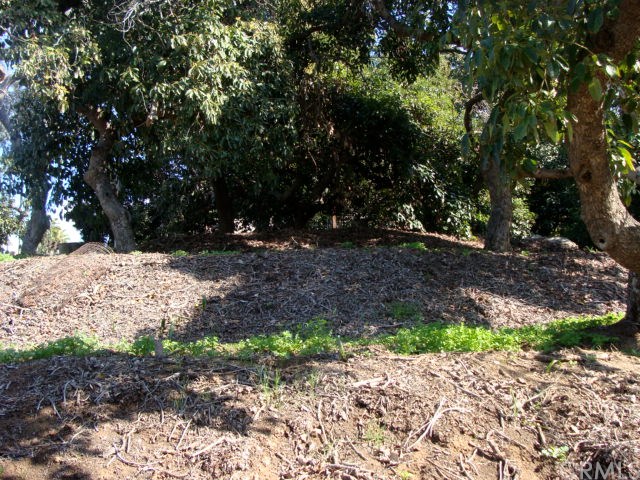 0 Gratton Street Riverside, CA 92504 - Photo 12 of 14