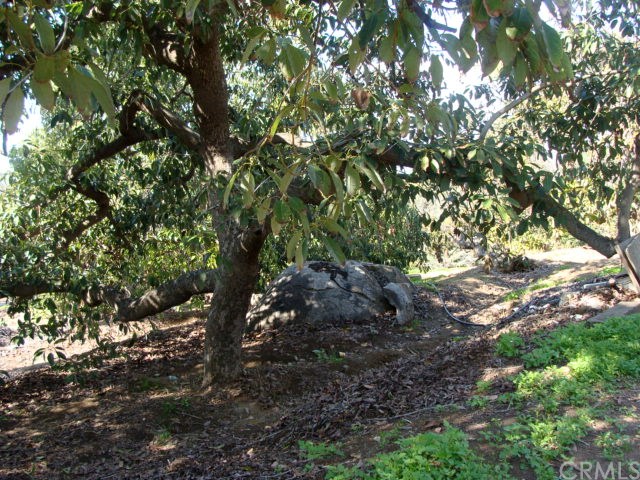 0 Gratton Street Riverside, CA 92504 - Photo 13 of 14