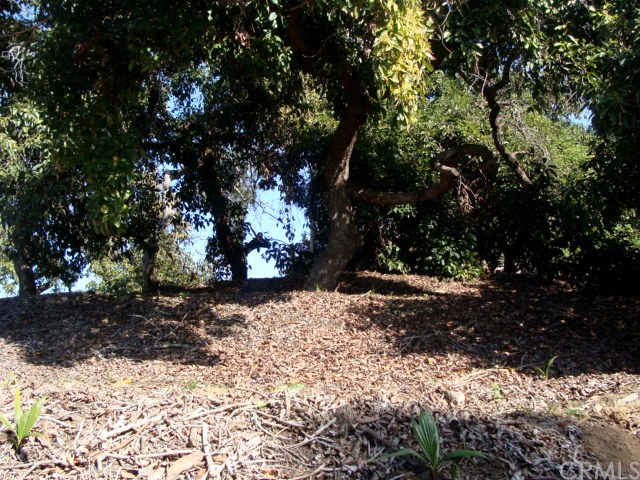 0 Gratton Street Riverside, CA 92504 - Photo 5 of 14