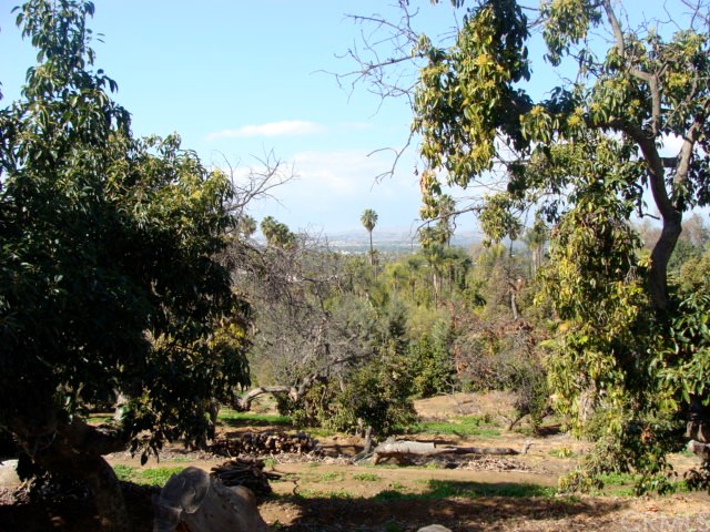 0 Gratton Street Riverside, CA 92504 - Photo 6 of 14