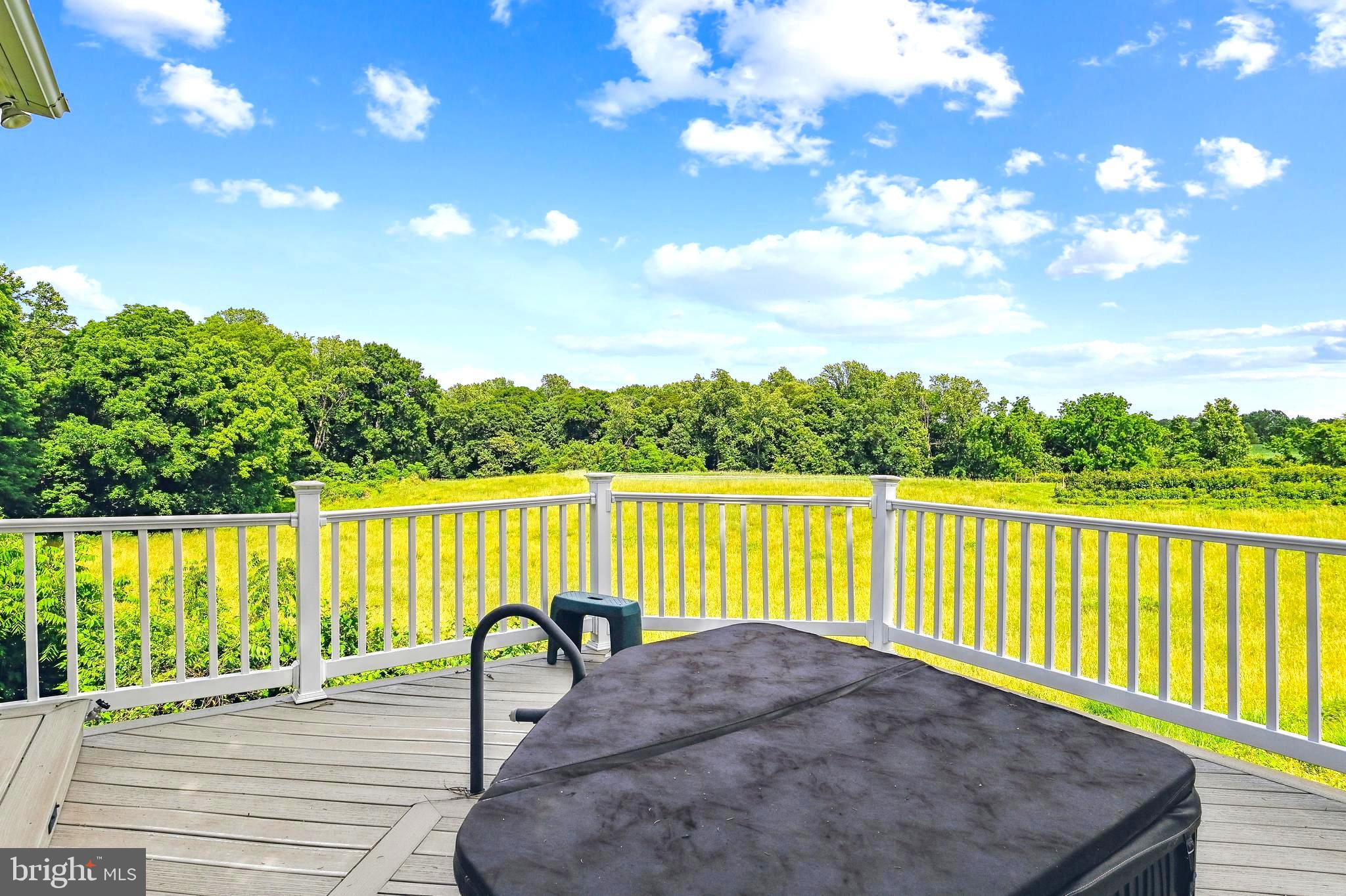 4475 Muddy Creek Road Harwood, MD 20776 - Photo 7 of 59 Total Privacy for Main Deck Hot Tub Niche!