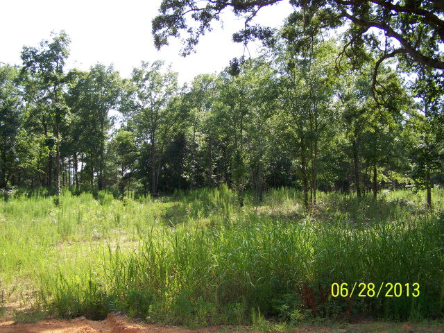 0 Zane Trace Road Aiken, SC 29805 - Photo 1 of 1 Main View