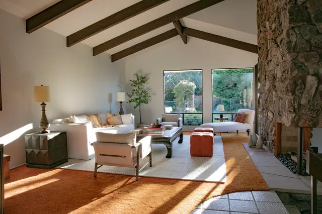 a living room with fireplace furniture and a potted plant