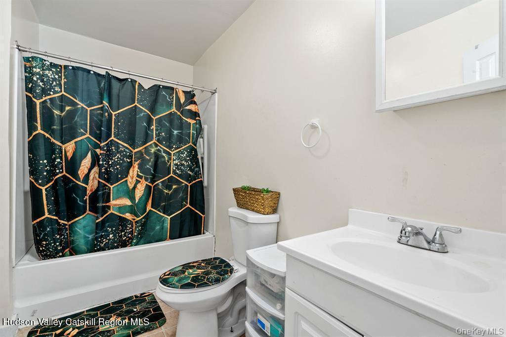 252-254 Partition Street Saugerties, NY 12477 - Photo 30 of 35 a bathroom with a sink toilet and shower