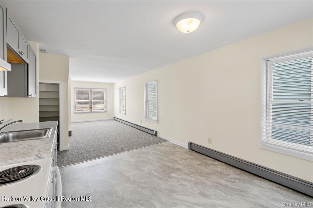 252-254 Partition Street Saugerties, NY 12477 - Photo 5 of 35 a view of a livingroom with wooden floor and a sink