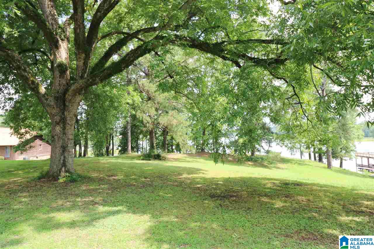 682 Blue Eye Road West Lincoln, AL 35096 - Photo 4 of 20