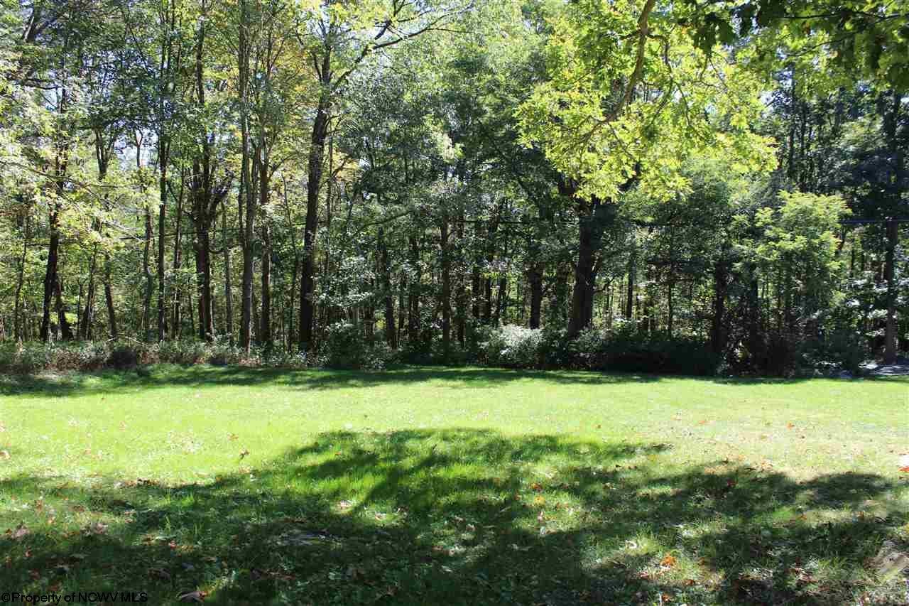 2977 Cranesville Road Terra Alta, WV 26764 - Photo 2 of 15 Gallery Image 2