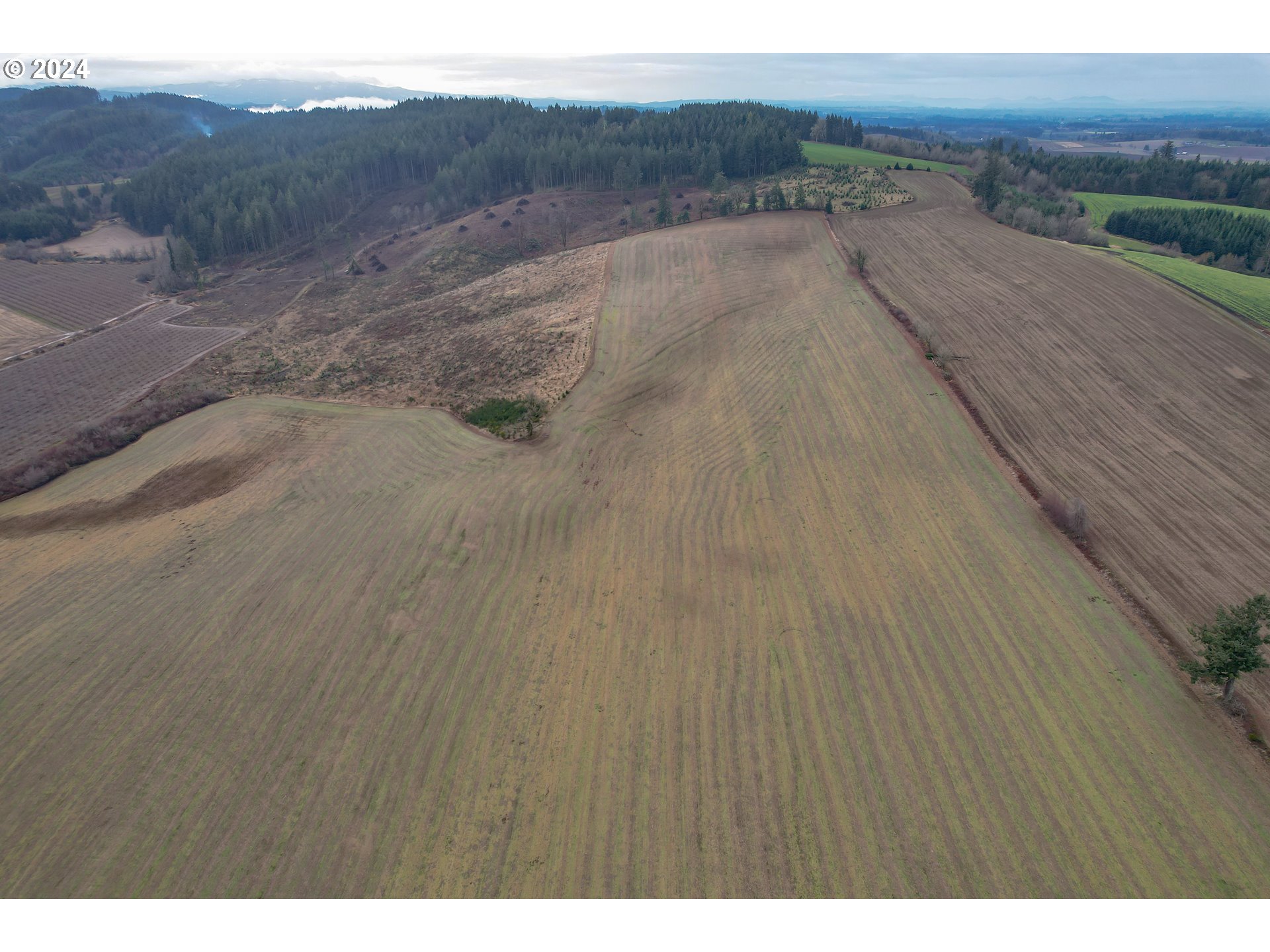 17084 Silver Falls Highway Southeast Sublimity, OR 97385 - Photo 44 of 46