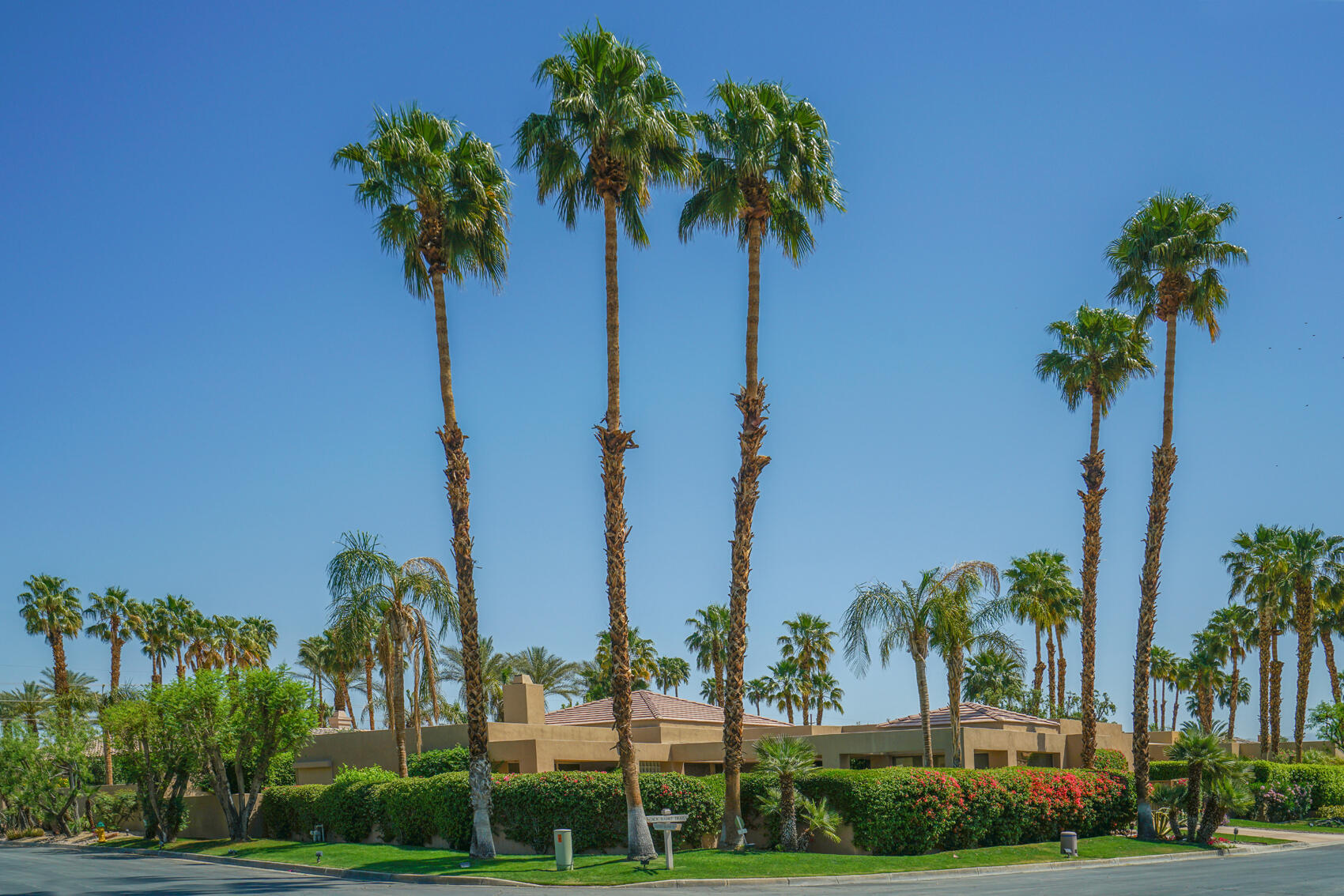 79140 Jack Rabbit Trail La Quinta, CA 92253 - Photo 3 of 61 DSC08427