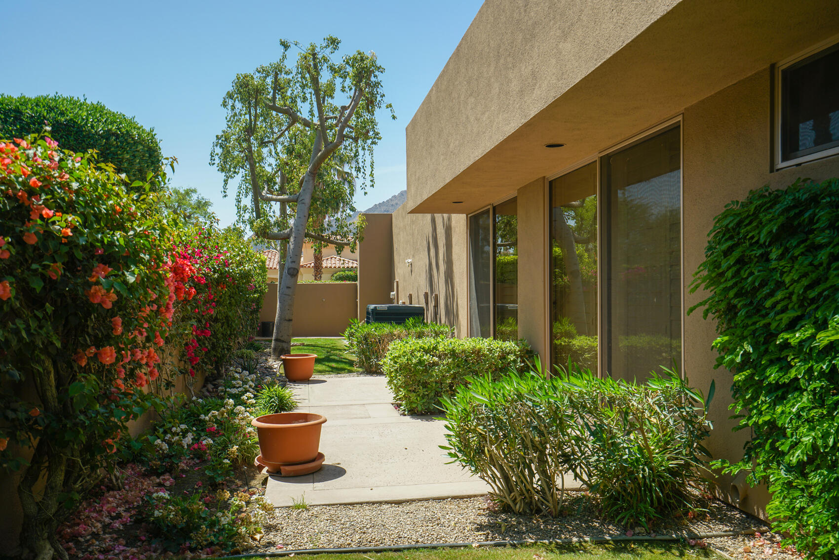 79140 Jack Rabbit Trail La Quinta, CA 92253 - Photo 57 of 61 a view of a backyard with plants and a garden