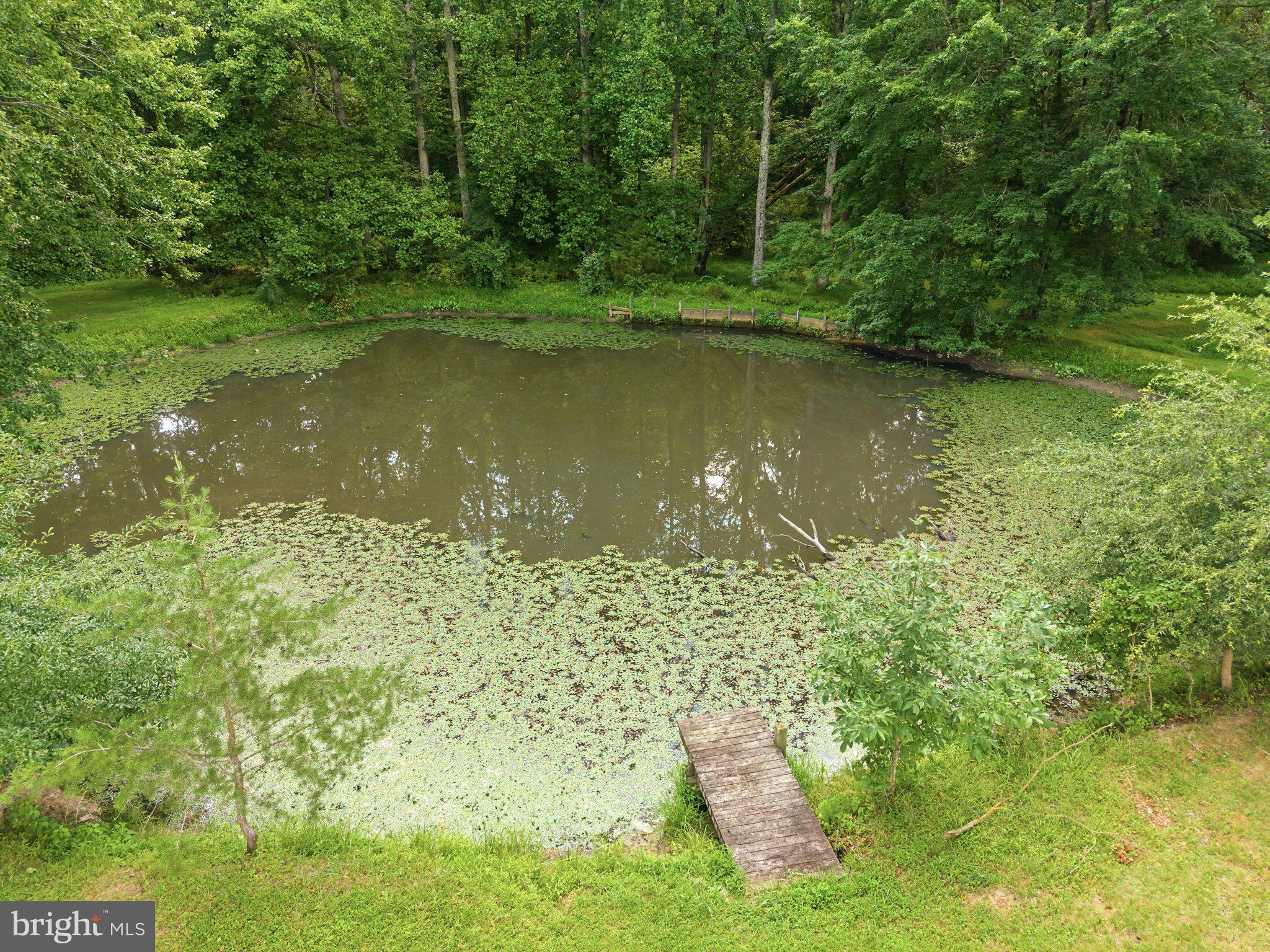 11201 Stuart Mill Road Oakton, VA 22124 - Photo 11 of 12 Serene pond nestled in lush greenery.