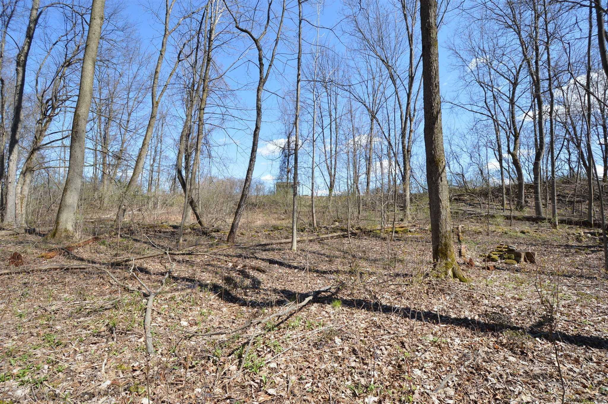 8 Hughes Road Amsterdam, NY 12010 - Photo 16 of 22 Photo 16