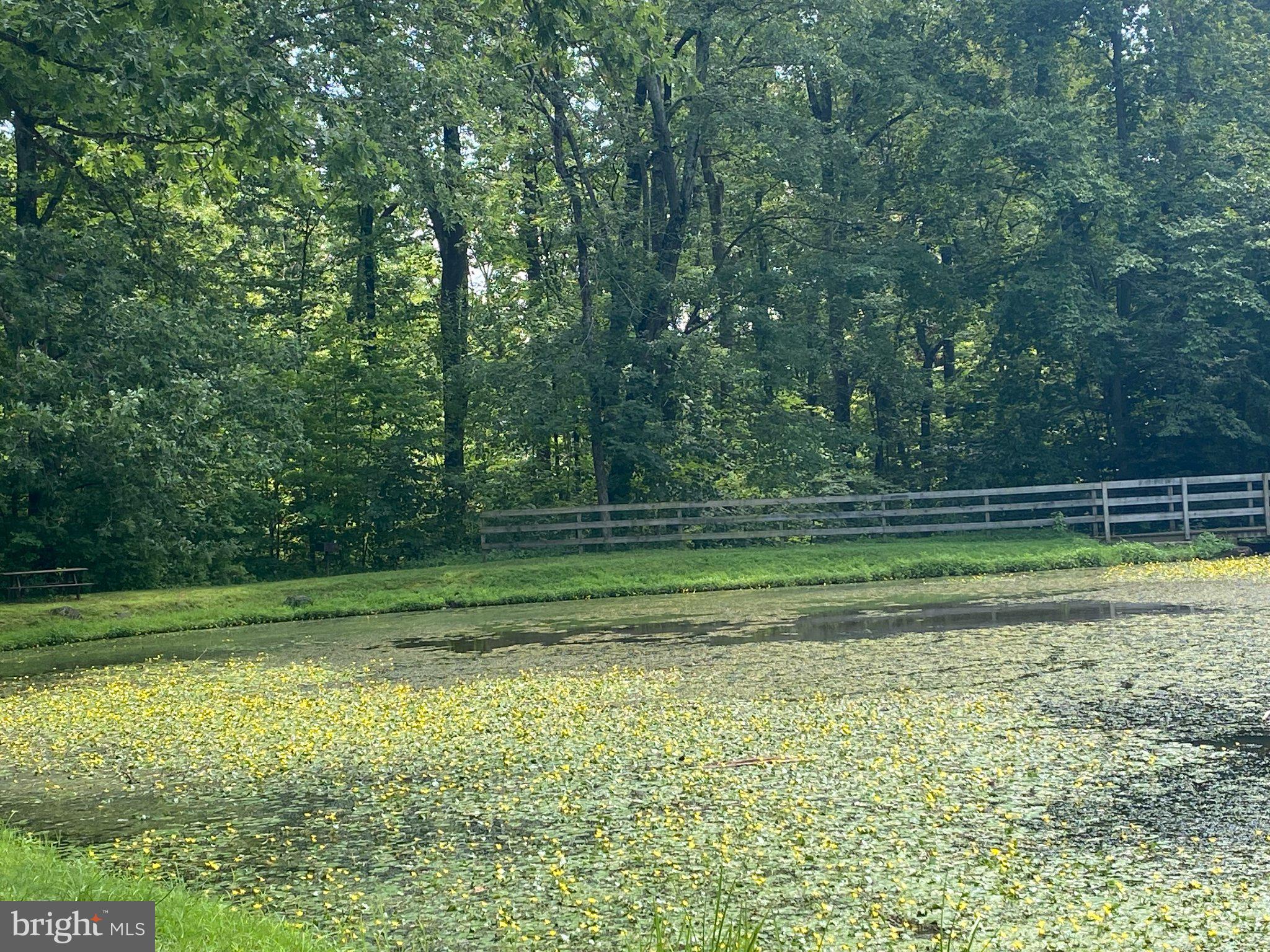 2181 Yerger Road Pottstown, PA 19464 - Photo 26 of 26 Tranquil pond embraced by nature.
