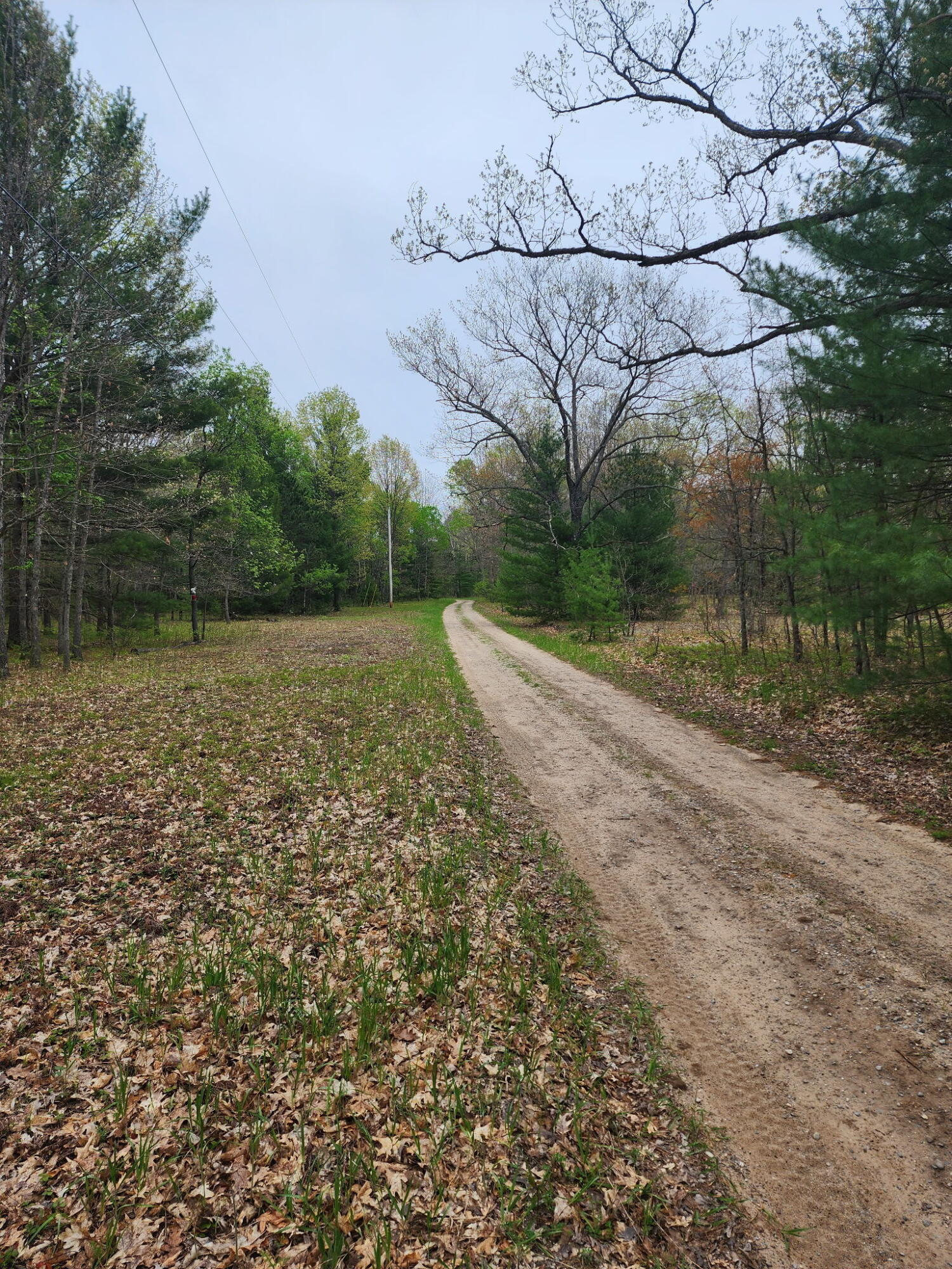 0 Hall Creek Road Interlochen, MI 49643 - Photo 6 of 14 20260524_094014