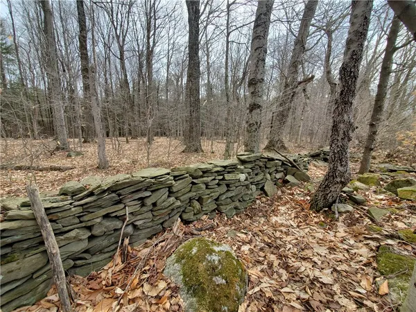 $229,900 | 0 Perkins Road, Cooperstown, NY 13326