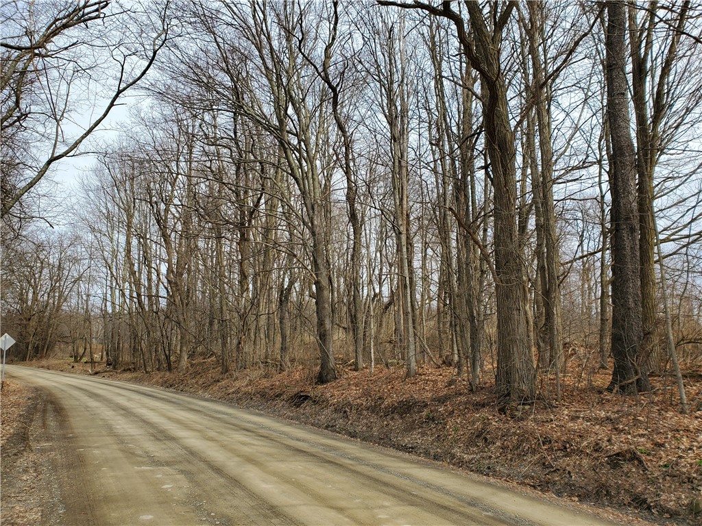 0 Perkins Road Cooperstown, NY 13326 - Photo 13 of 15