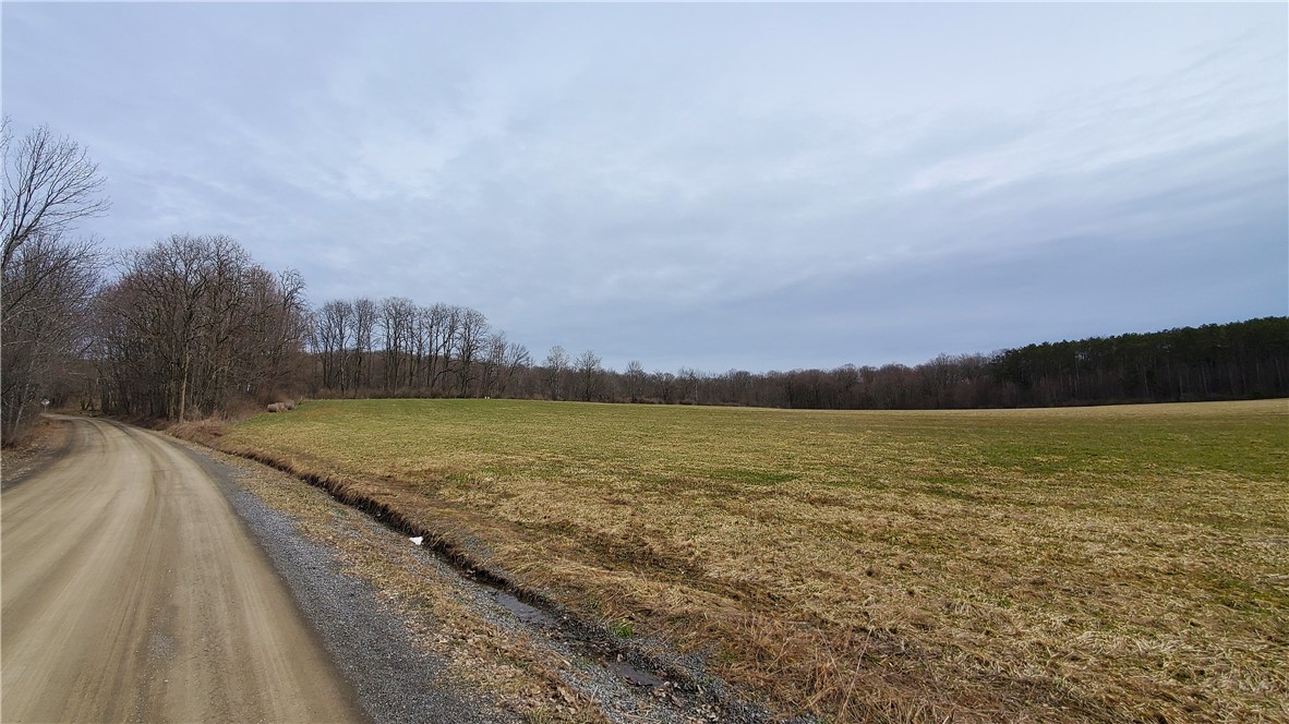 0 Perkins Road Cooperstown, NY 13326 - Photo 14 of 15