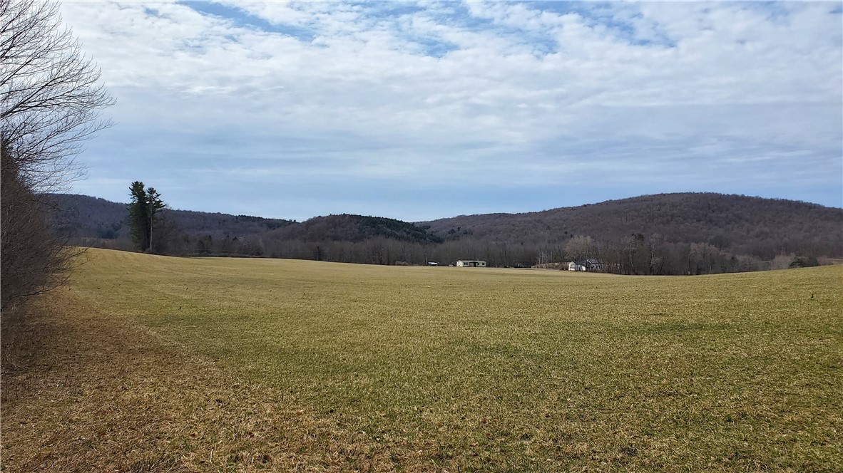 0 Perkins Road Cooperstown, NY 13326 - Photo 4 of 15