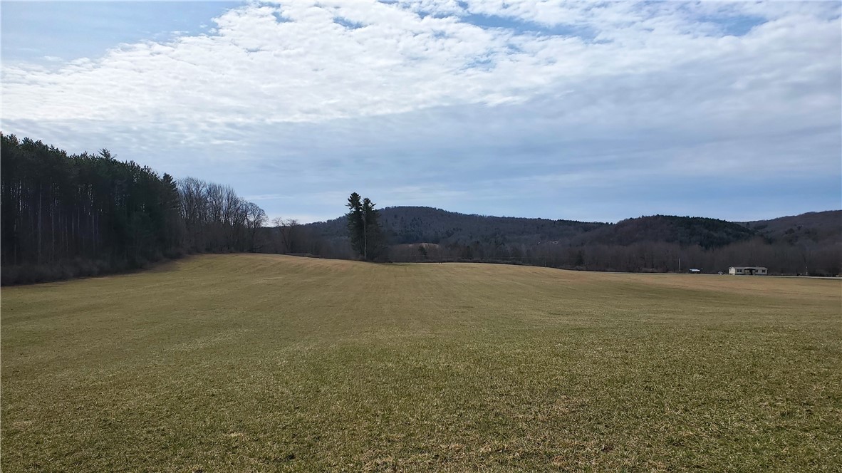 0 Perkins Road Cooperstown, NY 13326 - Photo 5 of 15