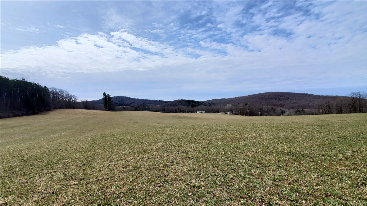 0 Perkins Road Cooperstown, NY 13326 - Photo 6 of 15