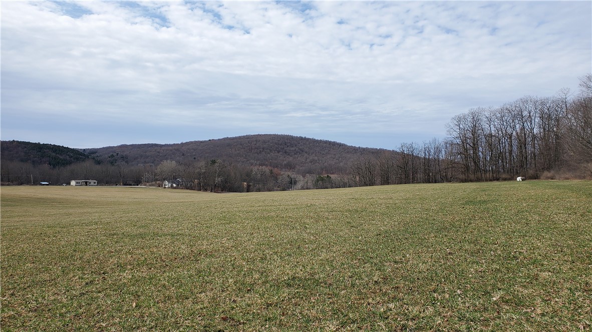 0 Perkins Road Cooperstown, NY 13326 - Photo 7 of 15