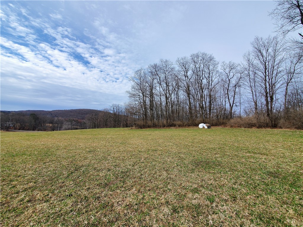 0 Perkins Road Cooperstown, NY 13326 - Photo 8 of 15