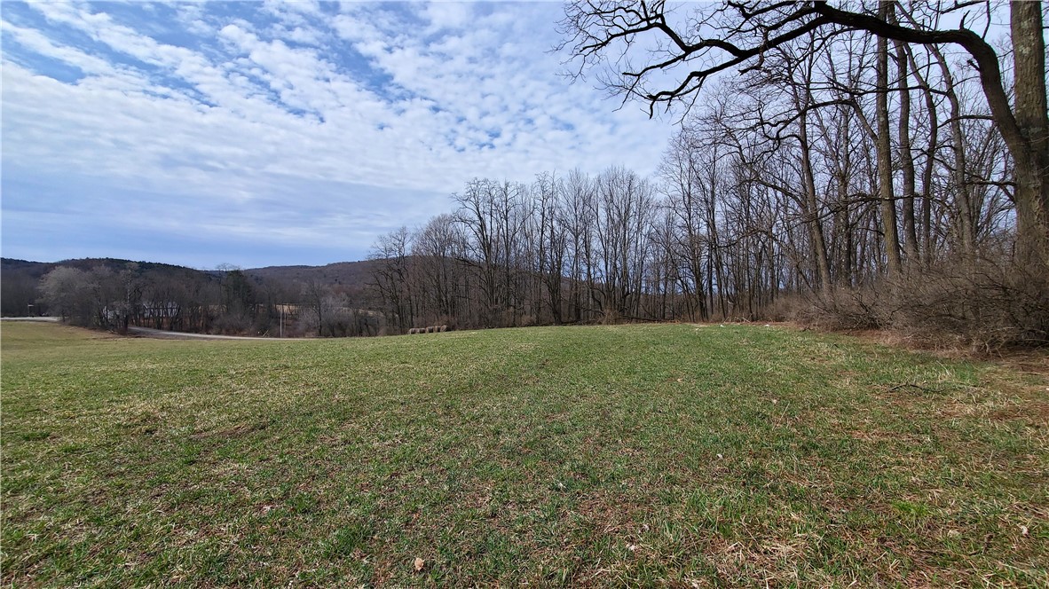 0 Perkins Road Cooperstown, NY 13326 - Photo 10 of 15