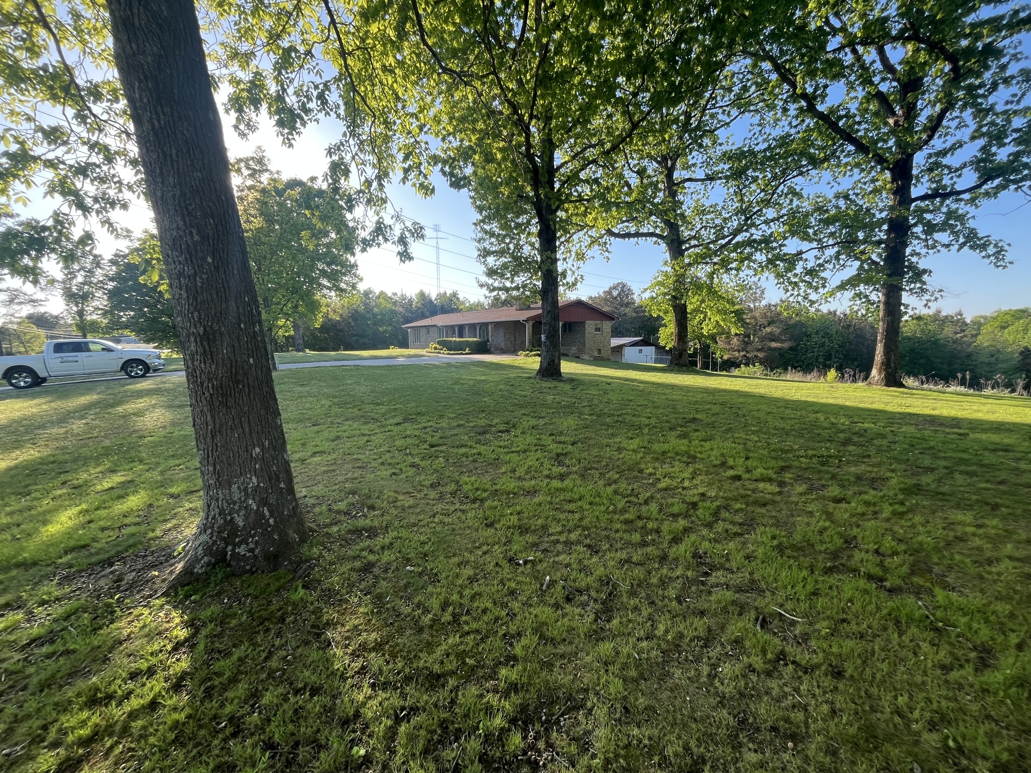 1619 Railroad Bed Road Collinwood, TN 38450 - Photo 51 of 54 a view of a field with large trees
