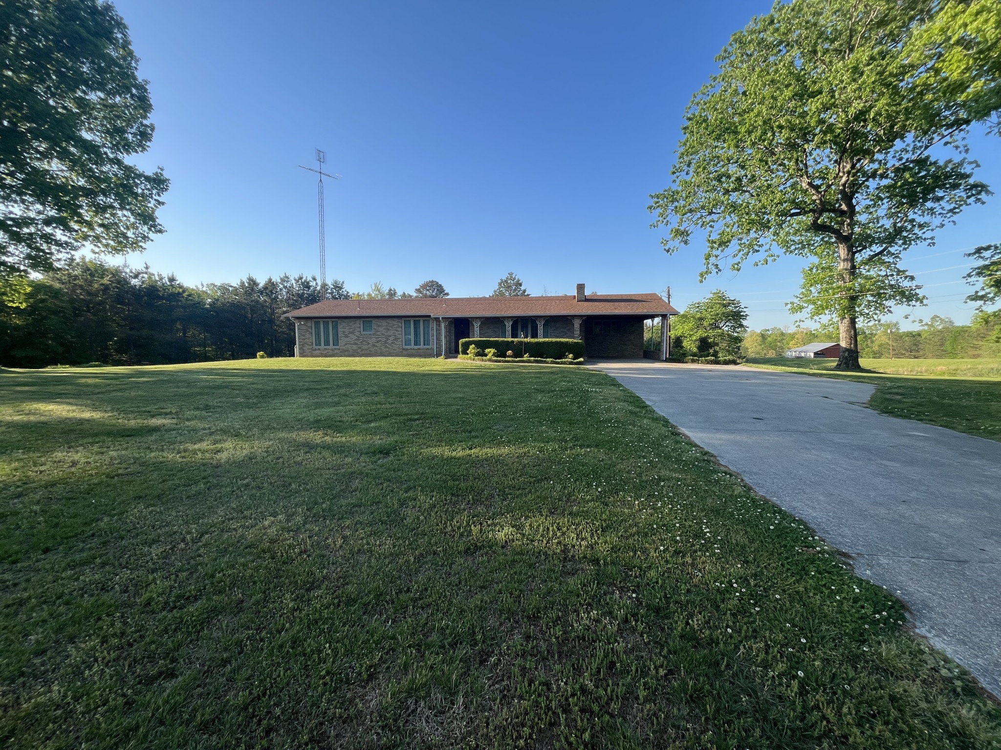 1619 Railroad Bed Road Collinwood, TN 38450 - Photo 6 of 54 a view of a big yard with a house