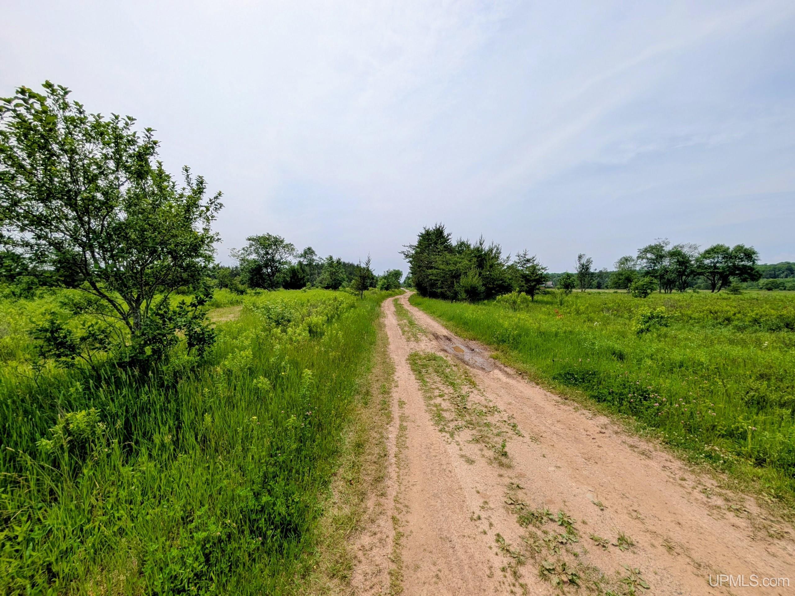 Tbd Pond Road Iron River, MI 49935 - Photo 11 of 26