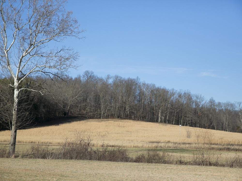 2459 Rozelle Creek Road Chillicothe, OH 45601 - Photo 32 of 44