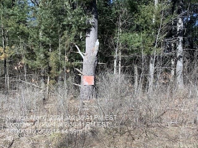 0 East Timreck Road, Unit PARCEL C Tawas City, MI 48763 - Photo 4 of 6