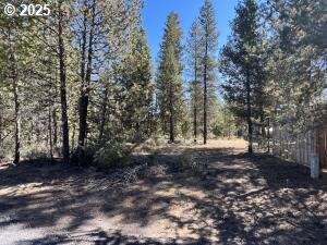 1 Gracies Road Gilchrist, OR 97737 - Photo 4 of 9