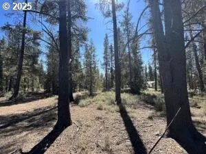$85,000 | 1 Gracies Road, Gilchrist, OR 97737