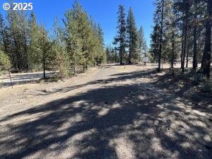 1 Gracies Road Gilchrist, OR 97737 - Photo 7 of 9