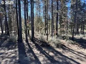 $85,000 | 1 Gracies Road, Gilchrist, OR 97737