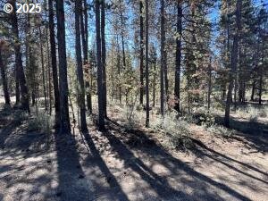 1 Gracies Road Gilchrist, OR 97737 - Photo 8 of 9