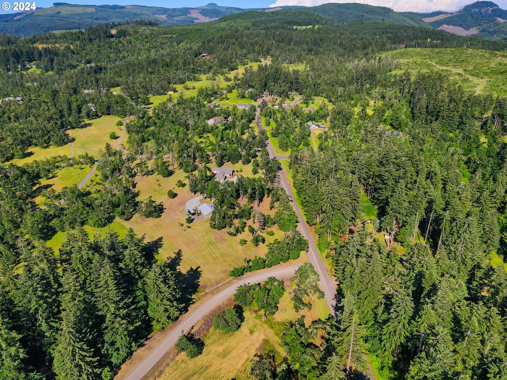 33482 Molitor Ranch Road Cottage Grove, OR 97424 - Photo 5 of 48 a view of a lush green field with a mountain in the background