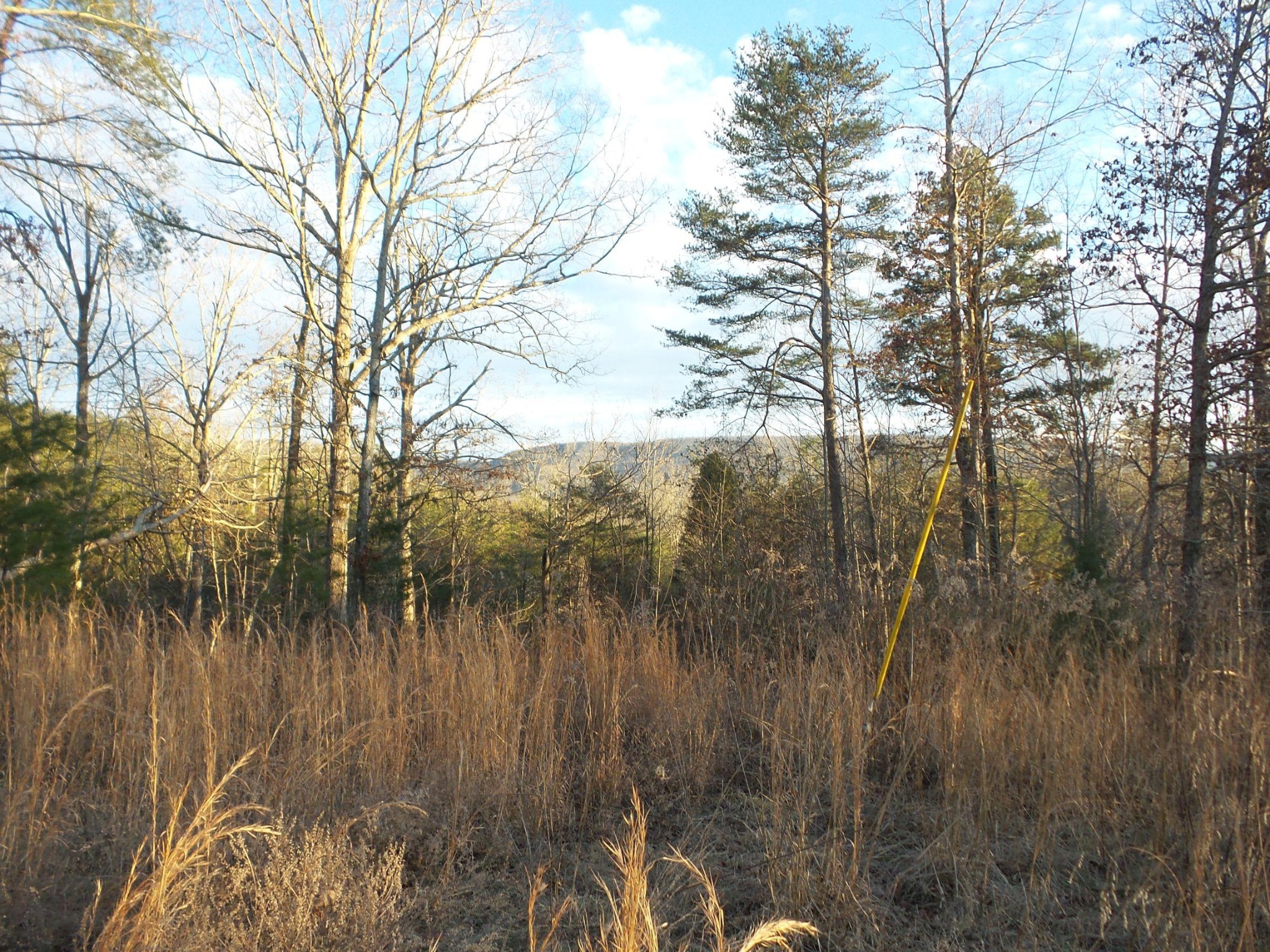 596 Herman Smith Road Pikeville, TN 37367 - Photo 25 of 40 Gallery Image 25