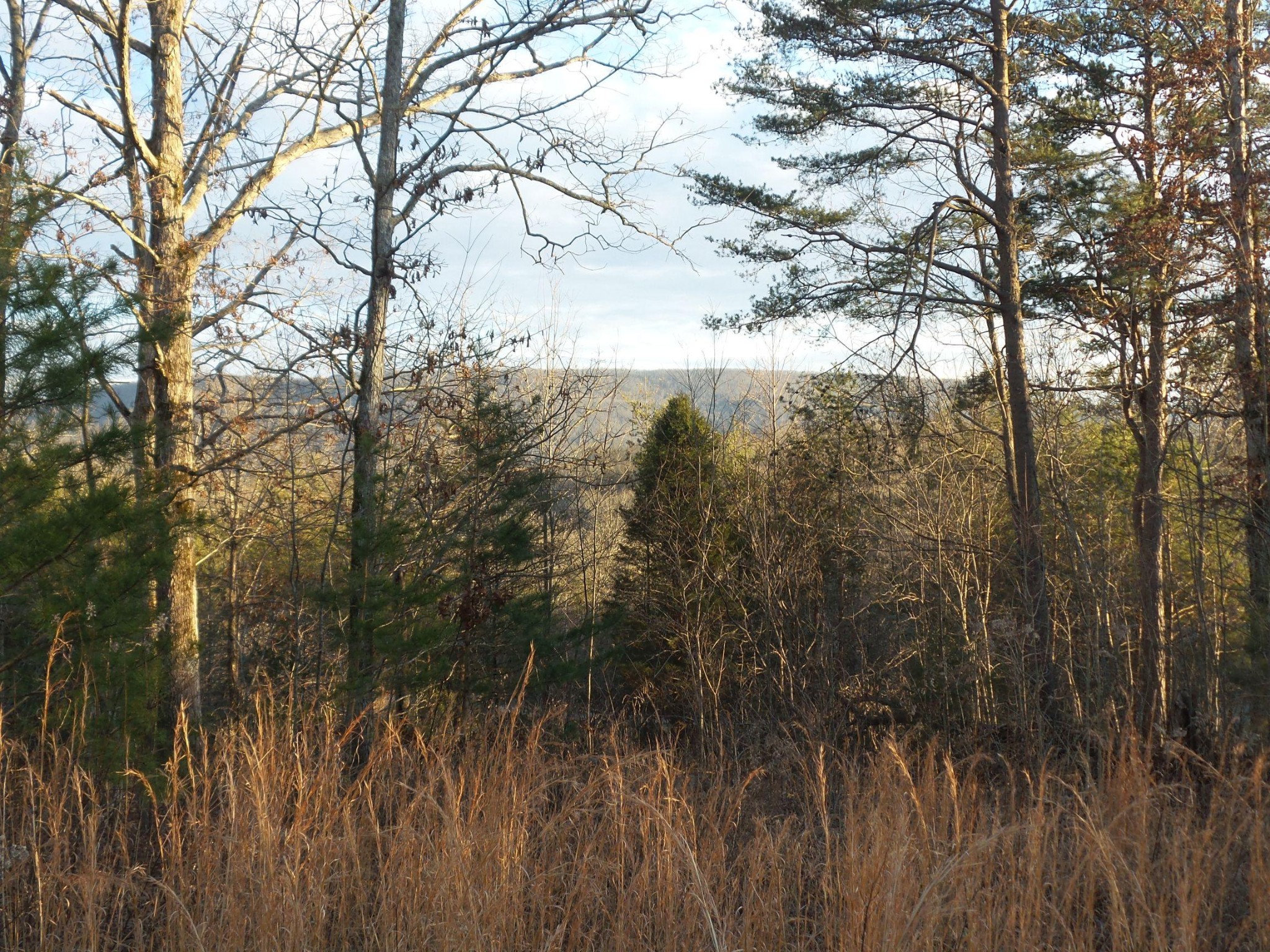 596 Herman Smith Road Pikeville, TN 37367 - Photo 27 of 40 Gallery Image 27