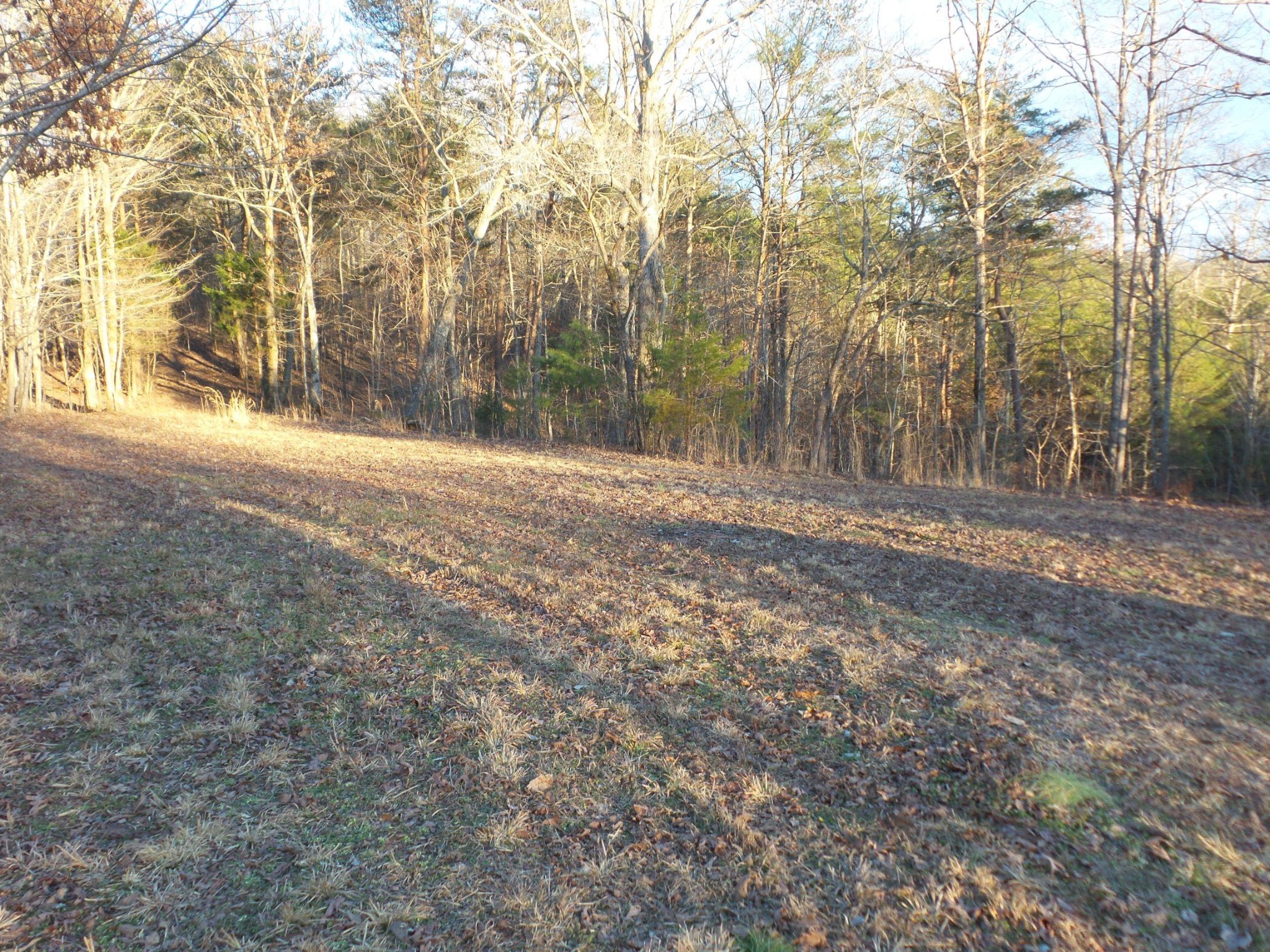 596 Herman Smith Road Pikeville, TN 37367 - Photo 28 of 40 Gallery Image 28