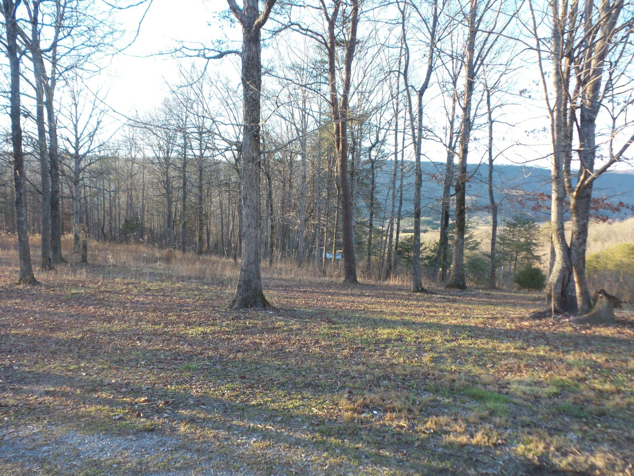 596 Herman Smith Road Pikeville, TN 37367 - Photo 3 of 40 Gallery Image 3