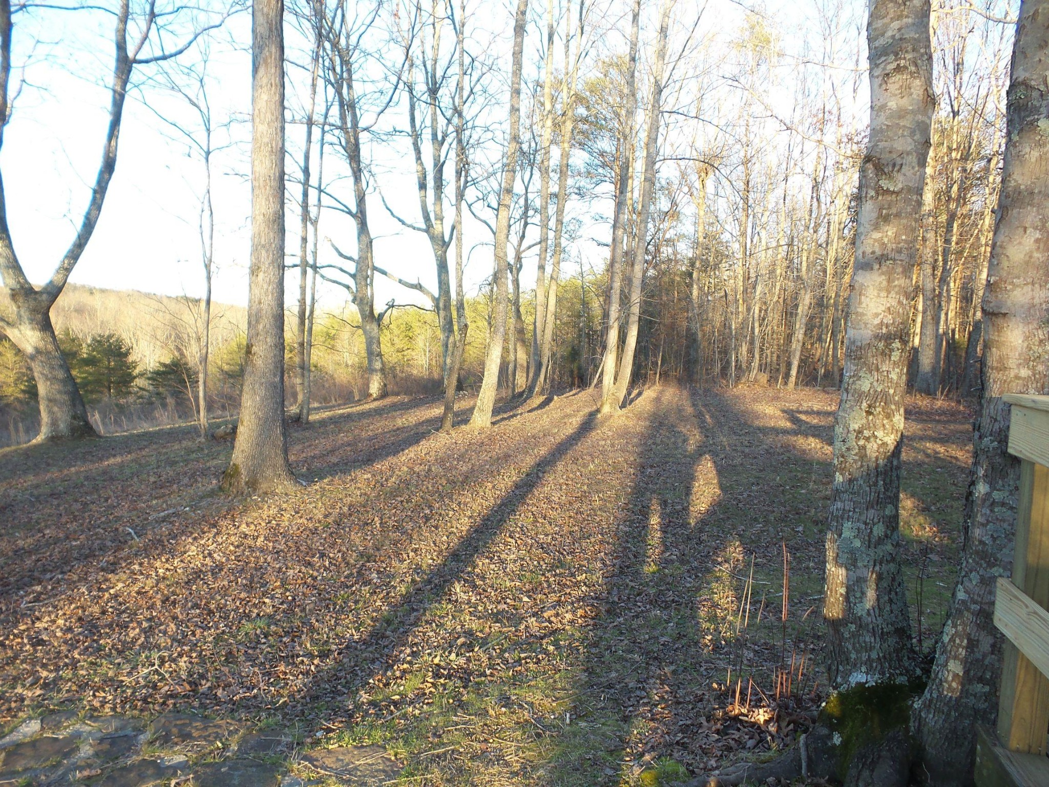 596 Herman Smith Road Pikeville, TN 37367 - Photo 34 of 40 Gallery Image 34
