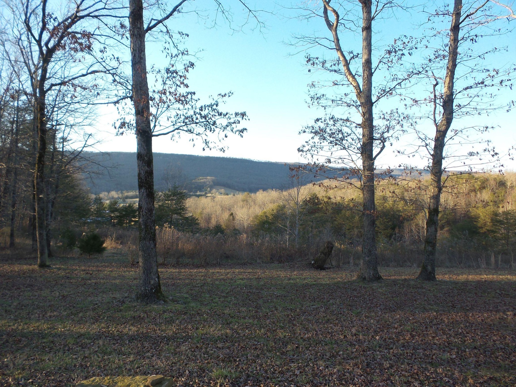 596 Herman Smith Road Pikeville, TN 37367 - Photo 35 of 40 Gallery Image 35