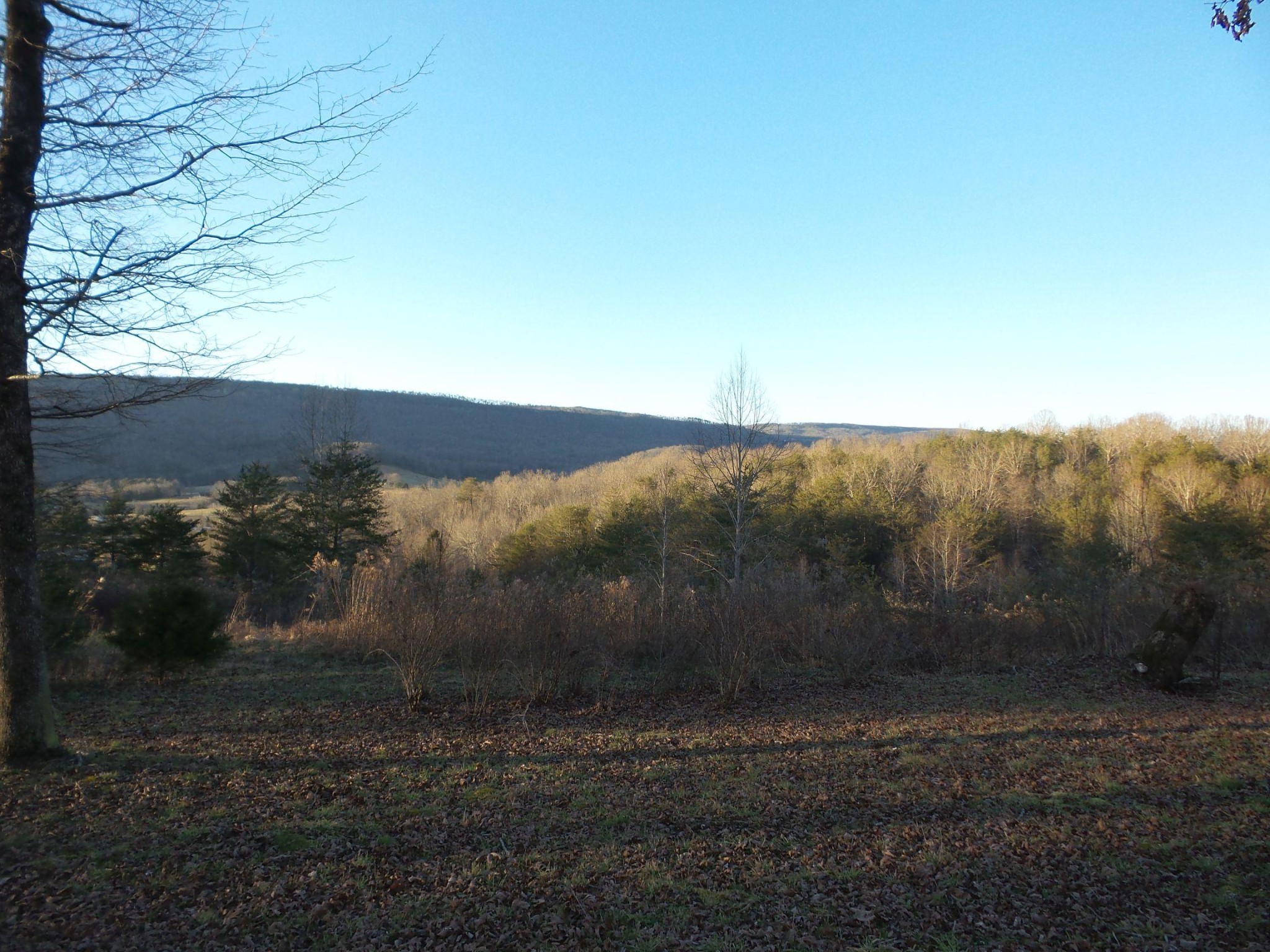 596 Herman Smith Road Pikeville, TN 37367 - Photo 36 of 40 Gallery Image 36