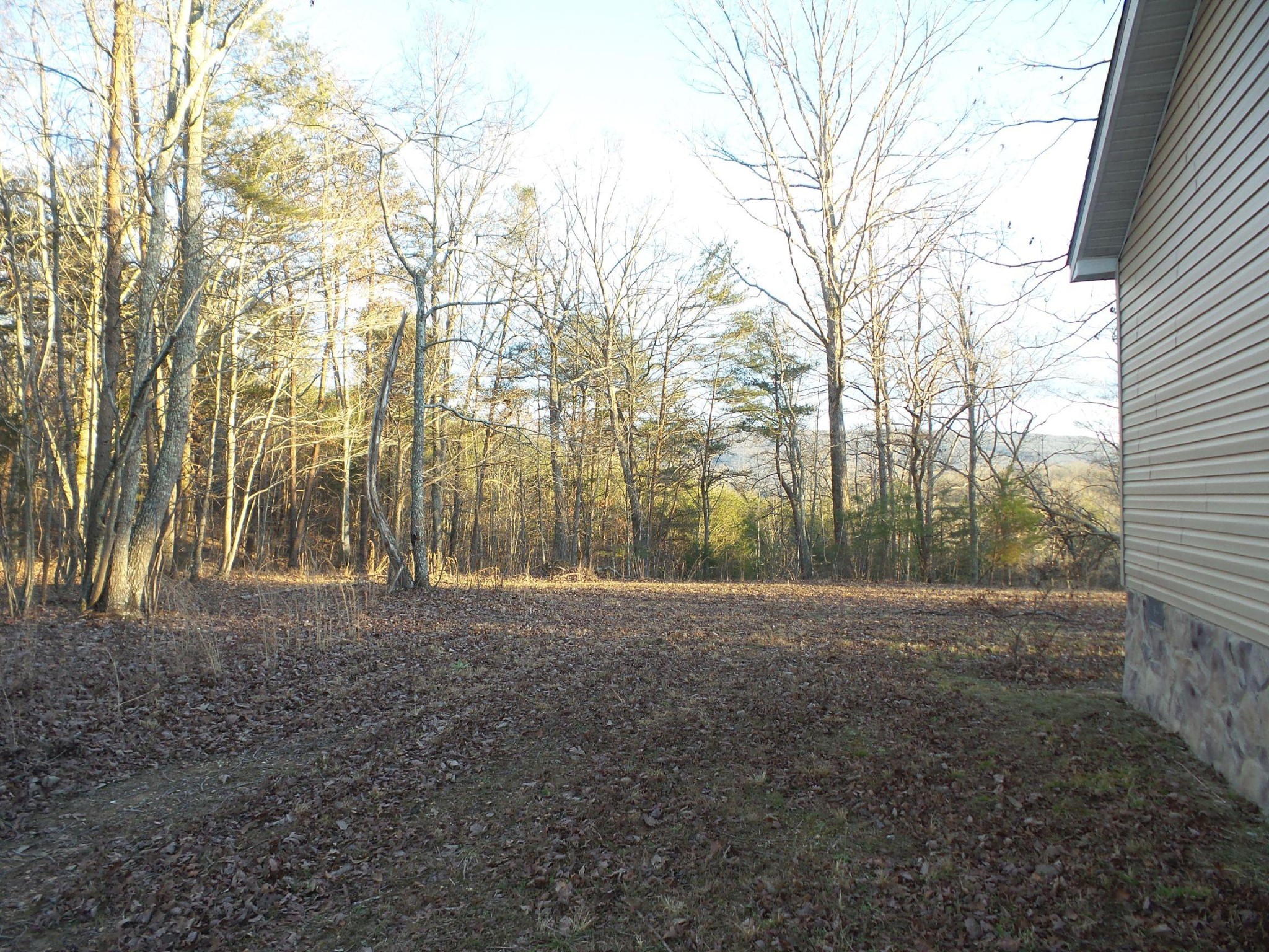 596 Herman Smith Road Pikeville, TN 37367 - Photo 39 of 40 Gallery Image 39