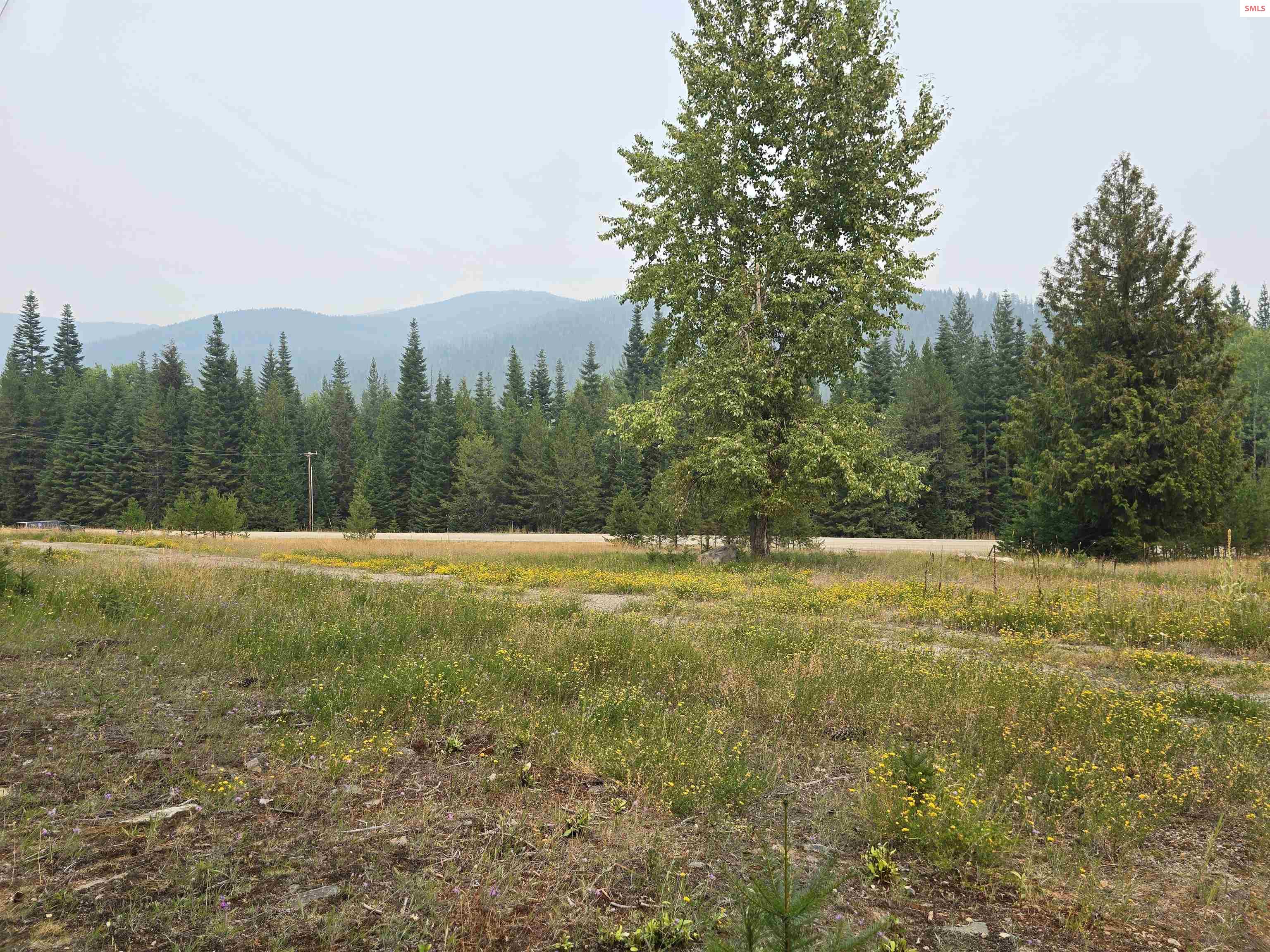 12941 Yaak River Road Troy, MT 59935 - Photo 5 of 15 Gallery Image 5