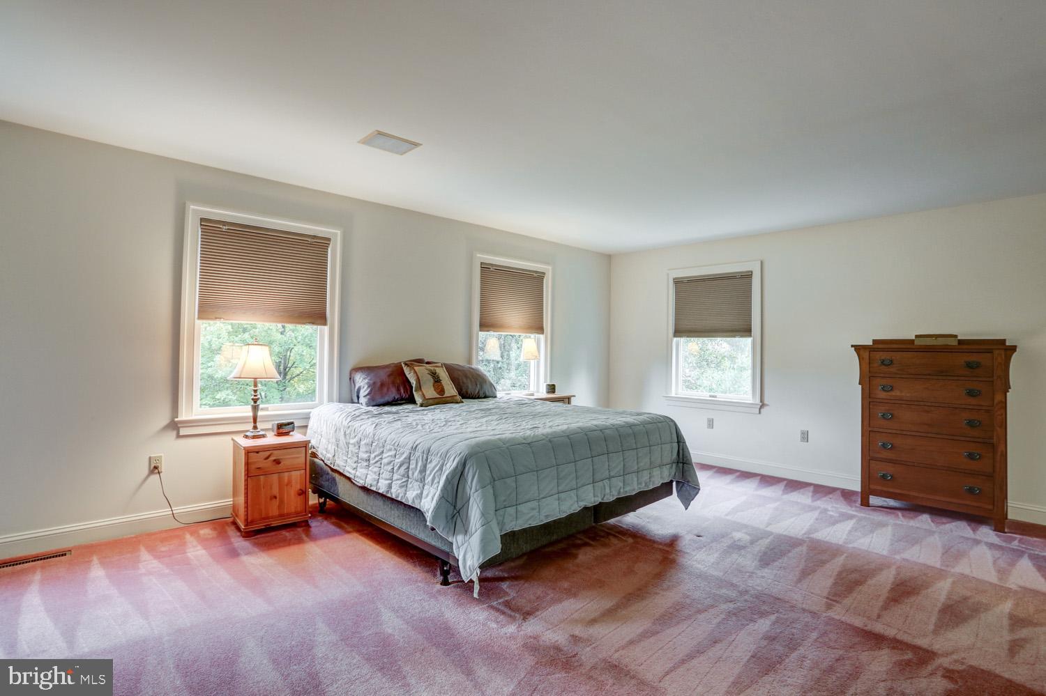 517 Laurel Avenue Lititz, PA 17543 - Photo 36 of 70 Primary bedroom