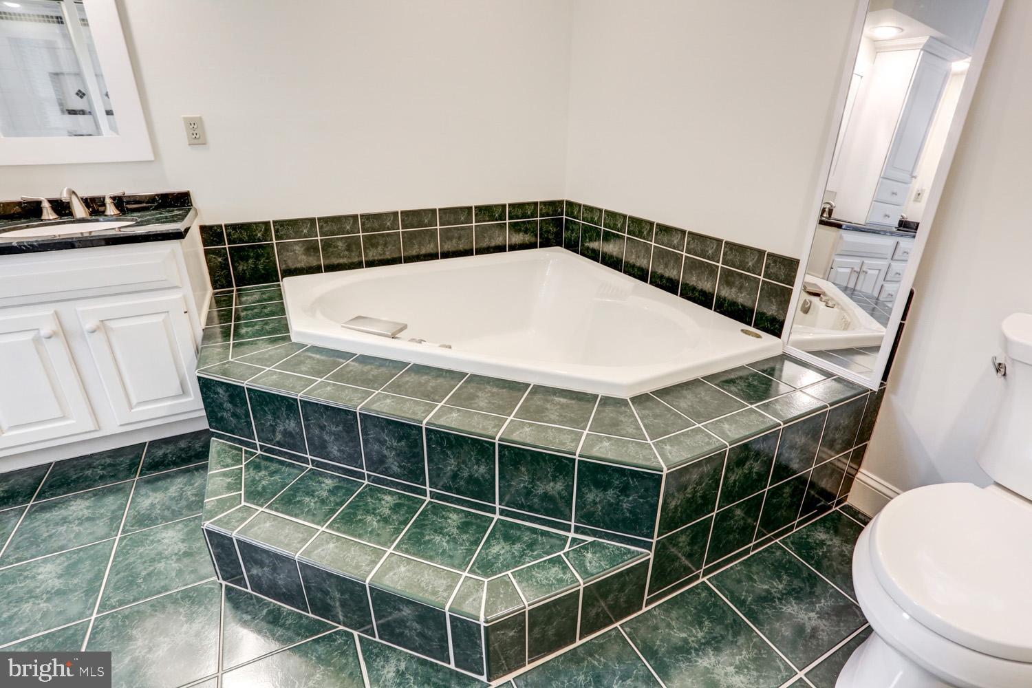 517 Laurel Avenue Lititz, PA 17543 - Photo 39 of 70 Primary bath with shower & soaking tub